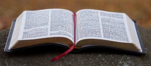 bible page on gray concrete surface